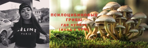 гашик Сафоново