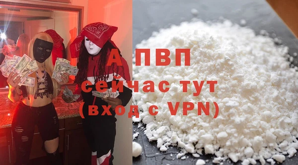 гашик Сафоново