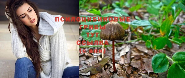 экстази Сатка
