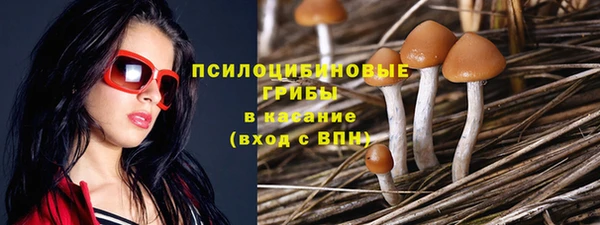 твердый Абаза